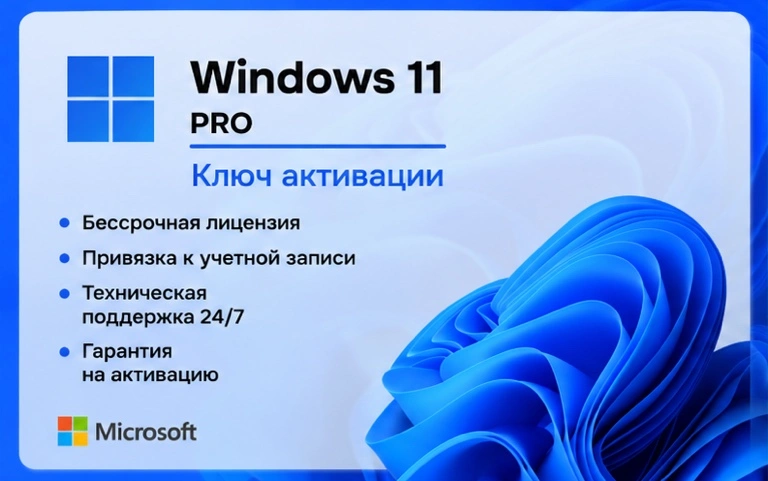 Microsoft Windows 11 Professional Электронный ключ (esd)